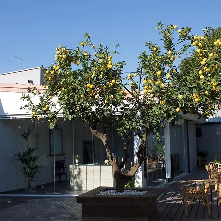 Guest house Domus Matris Rome